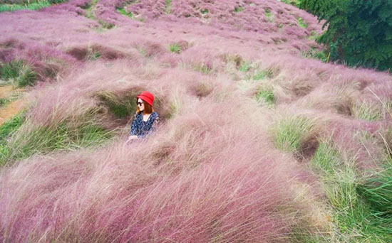 成都周邊五個私藏的拍照秘境,中秋去正合適!