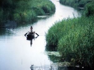 白洋淀漁人樂園景區 白洋淀漁人樂園景區