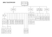 盛隆電氣集團管理結構圖