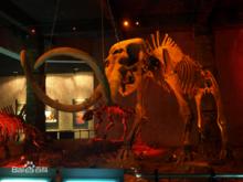 遼寧朝陽鳥化石國家地質公園