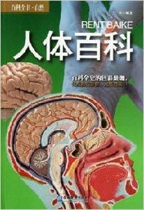 百科全書·自然:人體百科 百科全書·自然:人體百科