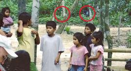 巴西亞馬遜外星人事件 巴西亞馬遜外星人事件