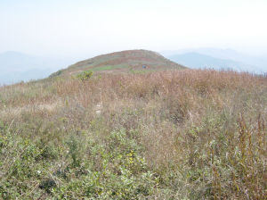 濟寧鳳凰山 濟寧鳳凰山