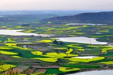 青龍鎮[安徽省蕭縣青龍鎮]