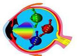 藍黃色弱 藍黃色弱