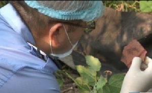 重慶上錯車女孩遇害案嫌犯和偵破畫面曝光