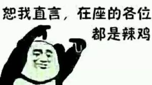 在座的各位都是垃圾