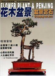 花木盆景:盆景賞石 花木盆景:盆景賞石