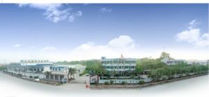 賽特集團有限公司 賽特集團有限公司