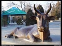 銀川中山公園動物園 銀川中山公園動物園