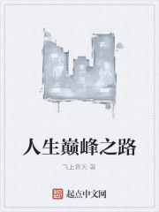 人生巔峰之路 人生巔峰之路