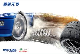 威獅輪胎 威獅輪胎