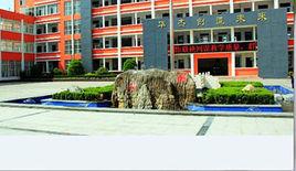 華傑雙語學校 華傑雙語學校