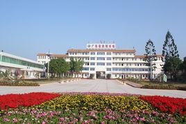 茂名農墾 茂名農墾