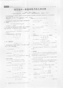 規範場中一類基本粒子的幾何分析（1）