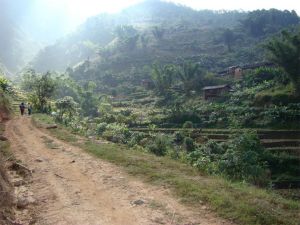 上大石頭自然村 上大石頭自然村