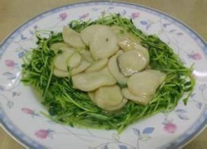 豆苗清炒杏鮑菇 豆苗清炒杏鮑菇