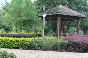 掌鳩河公園 掌鳩河公園