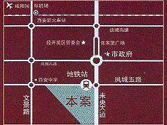 賽高國際街區 賽高國際街區