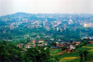 東草店村 東草店村