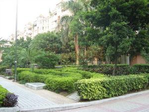 實景圖(網易房產)