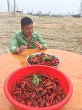 老龍窩娛樂活動