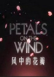 風中的花瓣[電影]