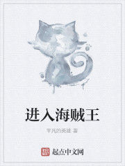 進入海賊王 進入海賊王