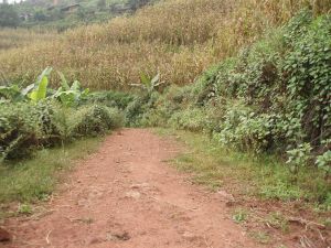 文杏竜自然村 文杏竜自然村