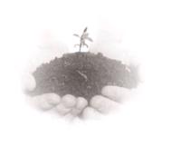 泥土音樂 泥土音樂