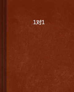 1對1 1對1