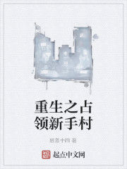 重生之占領新手村 重生之占領新手村
