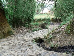 大阿柱村 大阿柱村