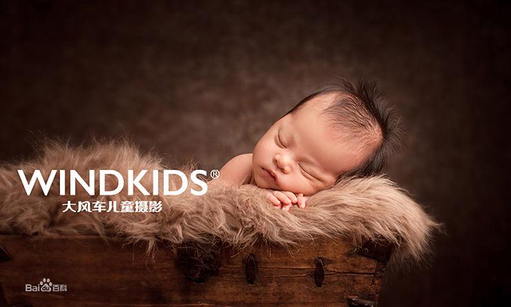 大風車百天照作品