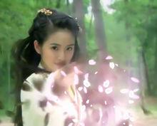 落英神劍掌[武俠小說中武功]