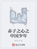 赤子之心之中國少年 赤子之心之中國少年