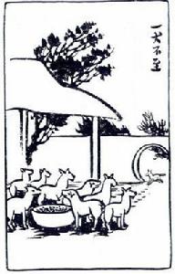 百犬同槽 百犬同槽