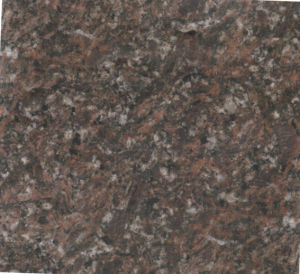 紳士啡-深 | Fox Brown |