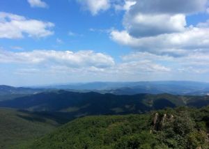 遼河源國家森林公園