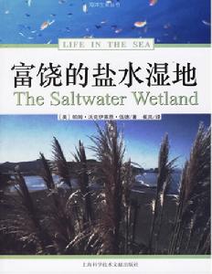 富饒的鹽水濕地