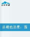 總裁也溫柔:霸寵小寶貝 總裁也溫柔:霸寵小寶貝