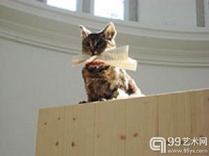 英國藝術家Liam Gillick的作品描述了一隻貓