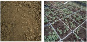 土壤環境質量影響評價 土壤環境質量影響評價