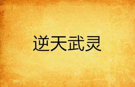 逆天武靈 逆天武靈