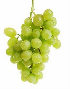 金藤葡萄 金藤葡萄