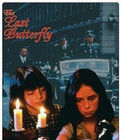 最後的蝴蝶 最後的蝴蝶