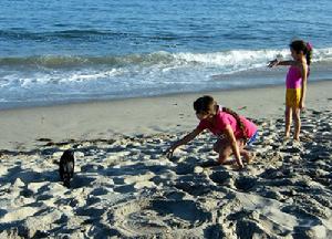 （圖）和海鳥親近的小孩