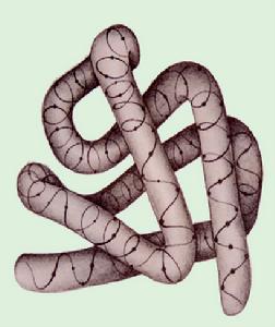 孟德立胺 孟德立胺