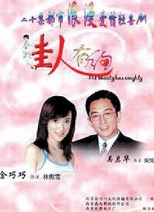 佳人有約[中國2004年吳啟華主演電視劇]