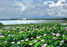 鍾祥[湖北省下轄縣級市]